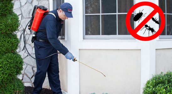 Çandarlı Gümüşkurt İlaçlama böcek ilaçlama ve haşere kontrolü — ilaclama-tr.com
